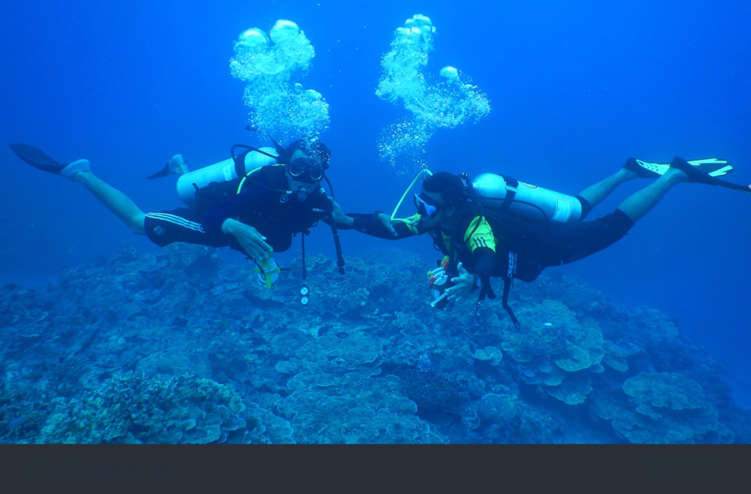 Divers underwater